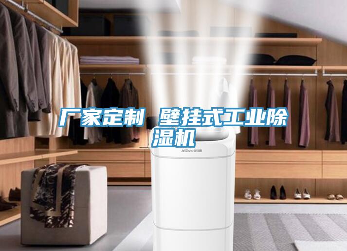 廠家定製 壁掛式工業91看片软件大全