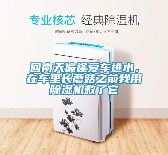回南天偏逢愛車進水，在車裏長蘑菇之前我用91看片软件大全救了它