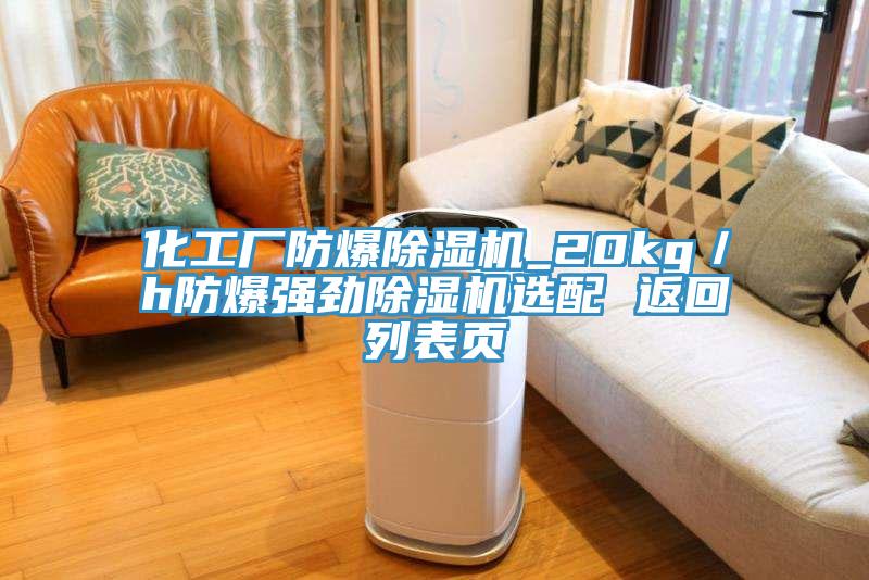 化工廠防爆91看片软件大全_20kg／h防爆強勁91看片软件大全選配 返回列表頁