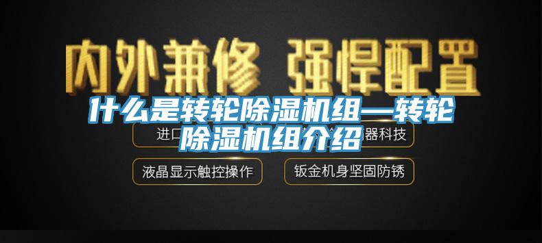 什麽是轉輪91看片软件大全組—轉輪91看片软件大全組介紹