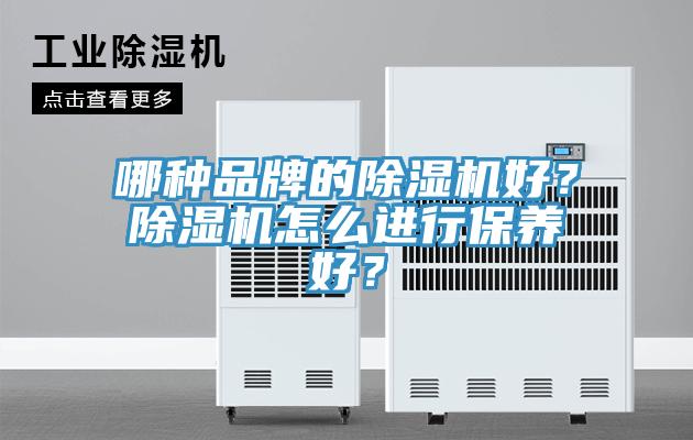 哪種品牌的91看片软件大全好？91看片软件大全怎麽進行保養好？