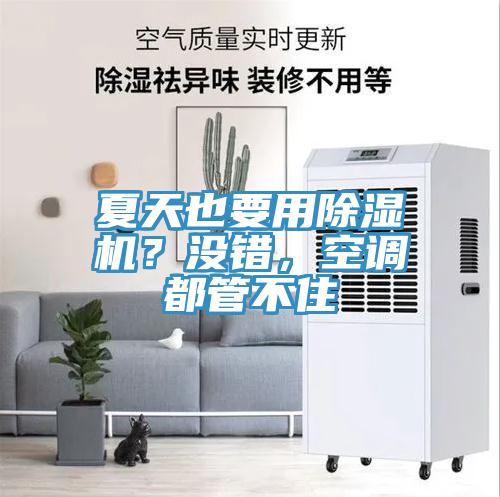 夏天也要用91看片软件大全？沒錯，空調都管不住
