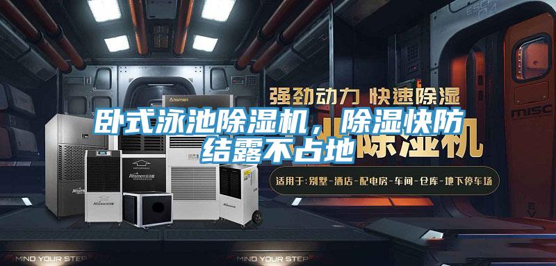 臥式泳池91看片软件大全，除濕快防結露不占地