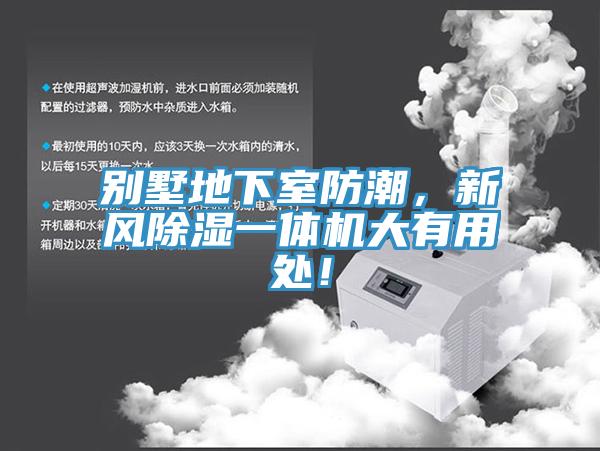 別墅地下室防潮，新風除濕一體機大有用處！