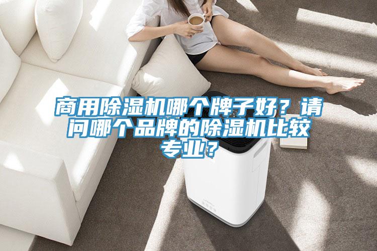 商用91看片软件大全哪個牌子好？請問哪個品牌的91看片软件大全比較專業？