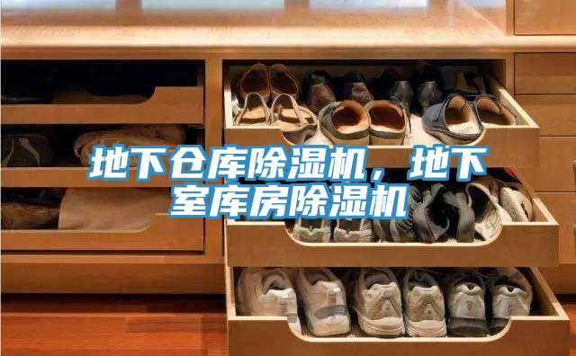 地下倉庫91看片软件大全，地下室庫房91看片软件大全