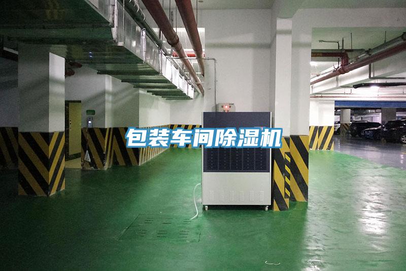 包裝車間91看片软件大全