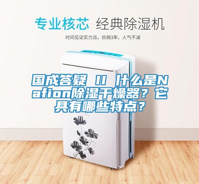 國成答疑 II 什麽是Nafion除濕幹燥器？它具有哪些特點？