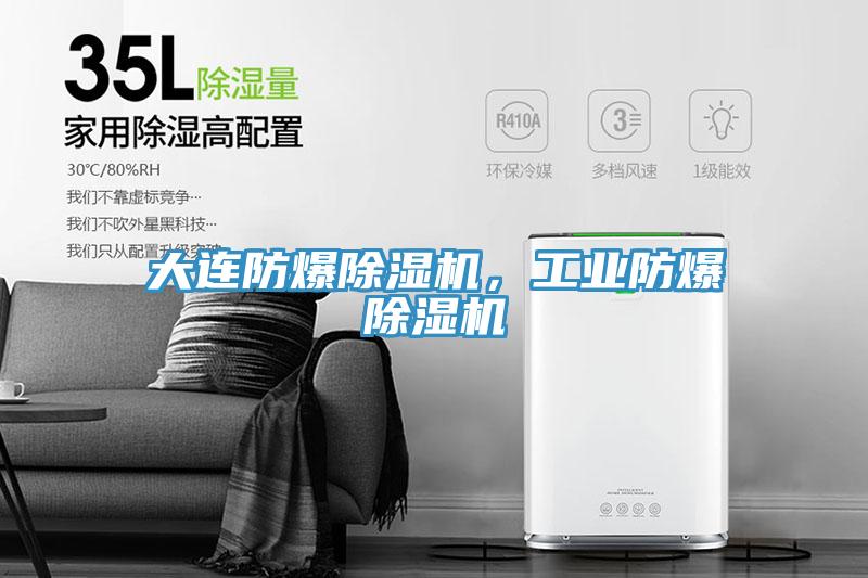 大連防爆91看片软件大全，工業防爆91看片软件大全