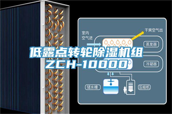 低露點轉輪91看片软件大全組ZCH-10000