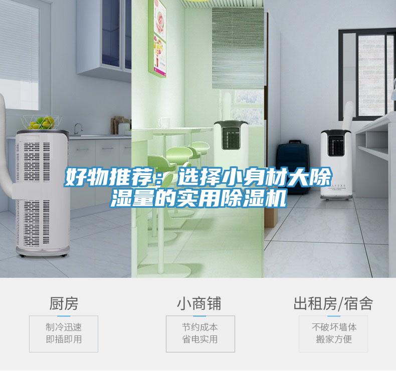 好物推薦：選擇小身材大除濕量的實用91看片软件大全
