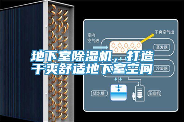 地下室91看片软件大全，打造幹爽舒適地下室空間