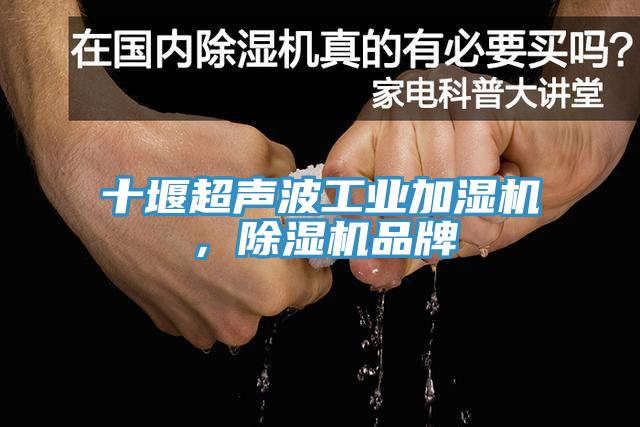 十堰超聲波工業加濕機，91看片软件大全品牌