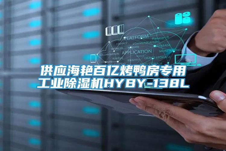供應海豔百億烤鴨房專用工業91看片软件大全HYBY-138L