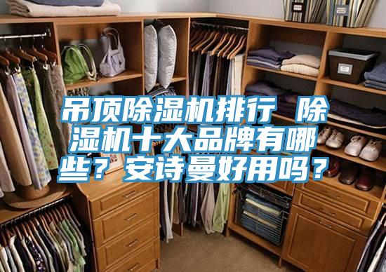 吊頂91看片软件大全排行 91看片软件大全十大品牌有哪些？91AV手机看片好用嗎？