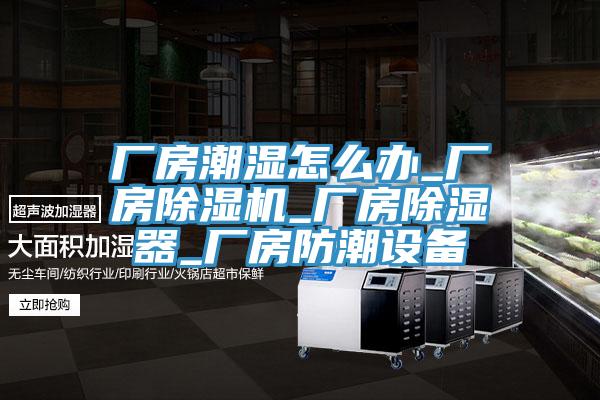 廠房潮濕怎麽辦_廠房91看片软件大全_廠房除濕器_廠房防潮設備