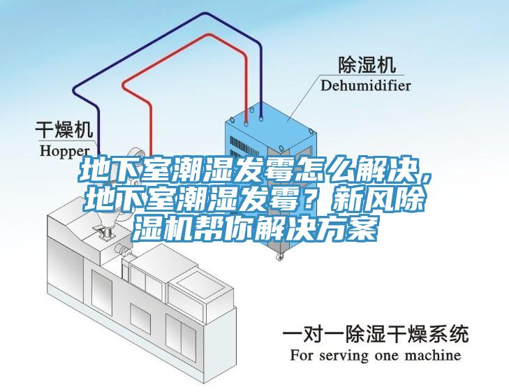 地下室潮濕發黴怎麽解決，地下室潮濕發黴？新風91看片软件大全幫你解決方案
