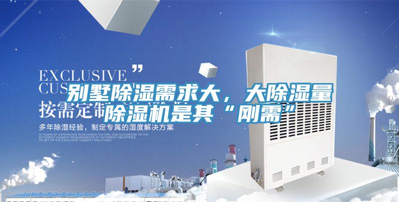 別墅除濕需求大，大除濕量91看片软件大全是其“剛需”
