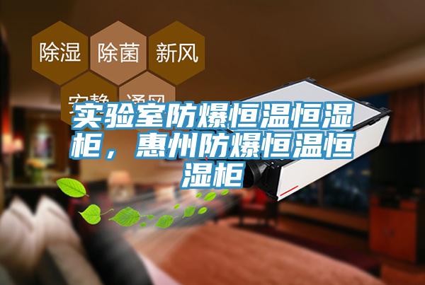 實驗室防爆恒溫恒濕櫃，惠州防爆恒溫恒濕櫃