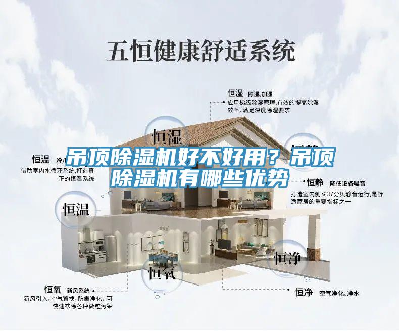 吊頂91看片软件大全好不好用？吊頂91看片软件大全有哪些優勢