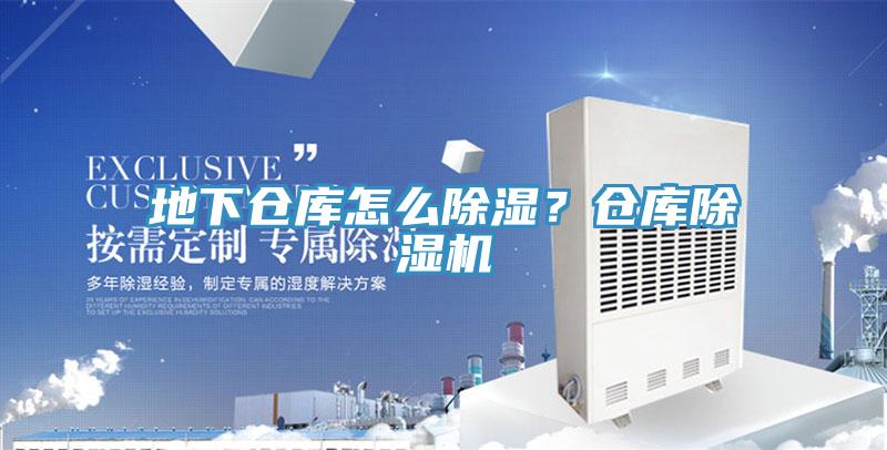 地下倉庫怎麽除濕？倉庫91看片软件大全