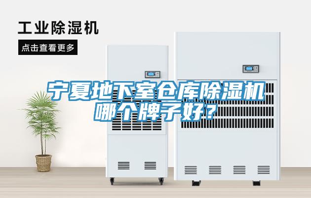 寧夏地下室倉庫91看片软件大全哪個牌子好？