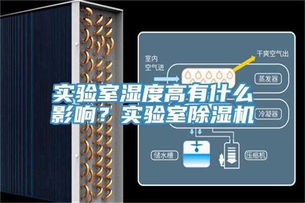 實驗室濕度高有什麽影響？實驗室91看片软件大全