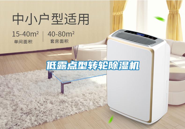 低露點型轉輪91看片软件大全