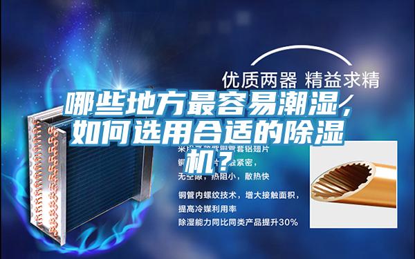 哪些地方最容易潮濕，如何選用合適的91看片软件大全？