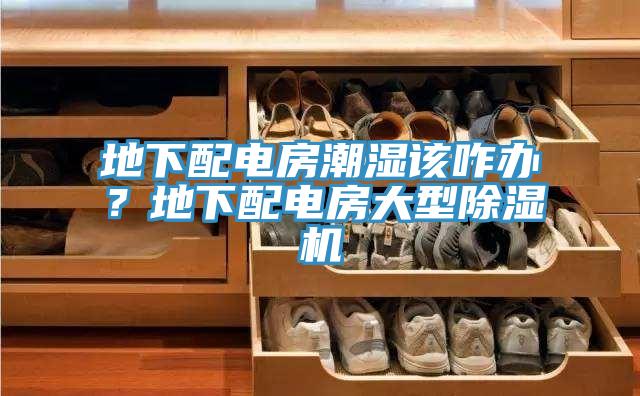 地下配電房潮濕該咋辦？地下配電房大型91看片软件大全
