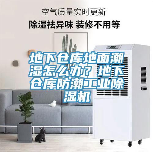 地下倉庫地麵潮濕怎麽辦？地下倉庫防潮工業91看片软件大全