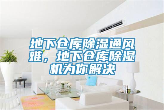 地下倉庫除濕通風難，地下倉庫91看片软件大全為你解決