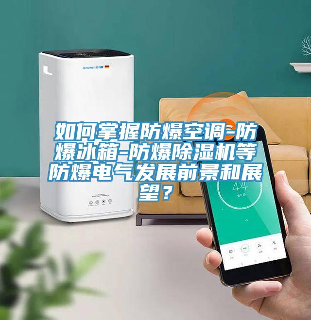 如何掌握防爆空調-防爆冰箱-防爆91看片软件大全等防爆電氣發展前景和展望？