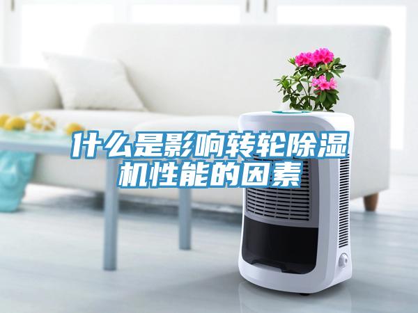 什麽是影響轉輪91看片软件大全性能的因素