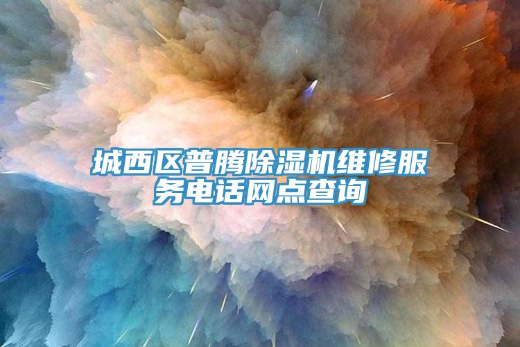 城西區普騰91看片软件大全維修服務電話網點查詢