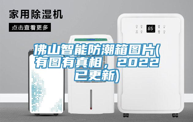佛山智能防潮箱圖片(有圖有真相，2022已更新)