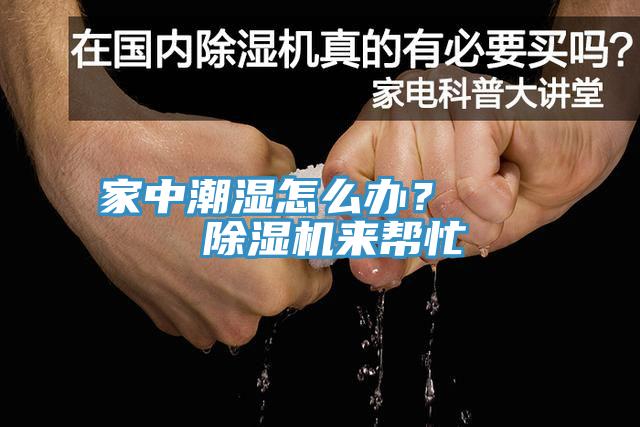 家中潮濕怎麽辦？    91看片软件大全來幫忙