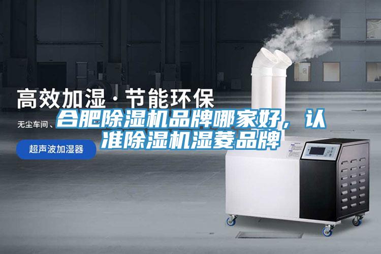 合肥91看片软件大全品牌哪家好，認準91看片软件大全濕菱品牌