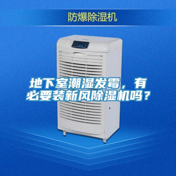 地下室潮濕發黴，有必要裝新風91看片软件大全嗎？