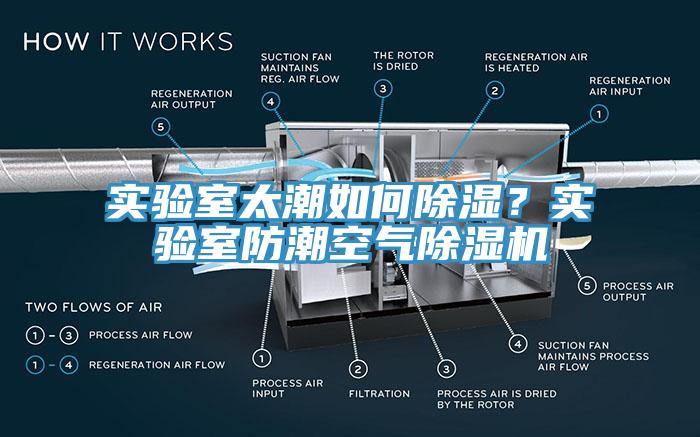 實驗室太潮如何除濕？實驗室防潮空氣91看片软件大全