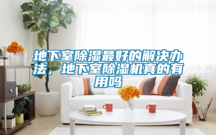 地下室除濕最好的解決辦法，地下室91看片软件大全真的有用嗎
