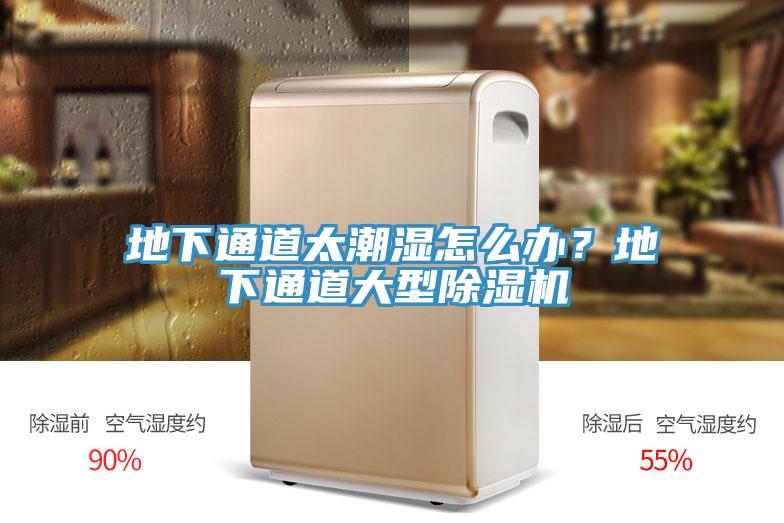 地下通道太潮濕怎麽辦？地下通道大型91看片软件大全