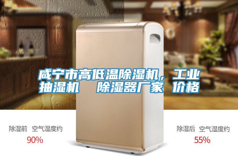 鹹寧市高低溫91看片软件大全，工業抽濕機  除濕器廠家 價格