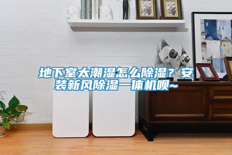 地下室太潮濕怎麽除濕？安裝新風除濕一體機唄~