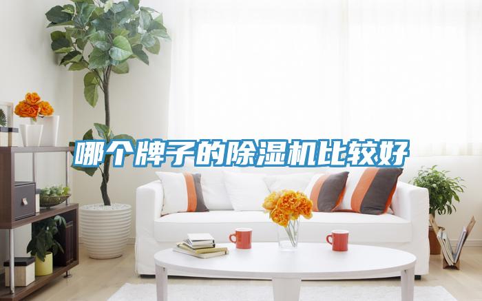 哪個牌子的91看片软件大全比較好