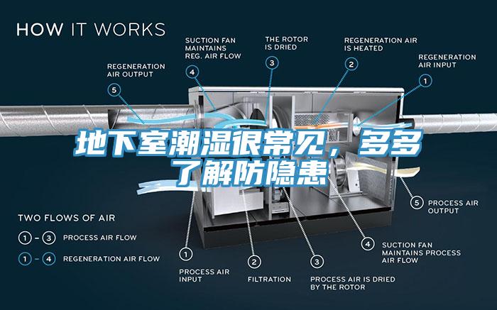 地下室潮濕很常見，多多了解防隱患