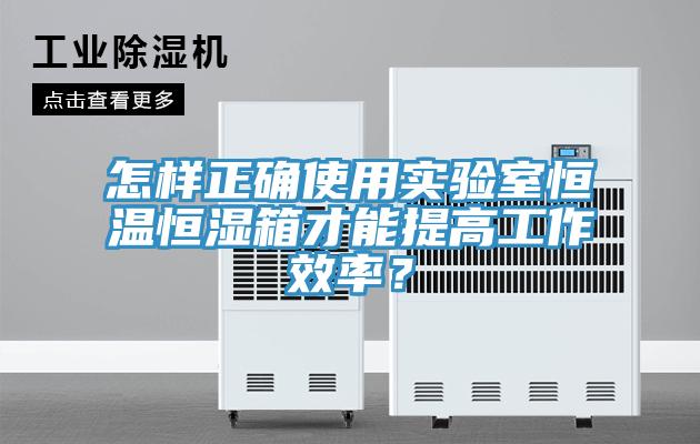 怎樣正確使用實驗室恒溫恒濕箱才能提高工作效率？