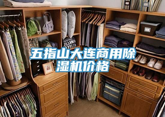 五指山大連商用91看片软件大全價格