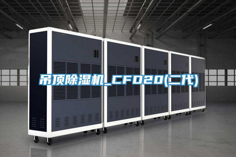 吊頂91看片软件大全_CFD20(二代)