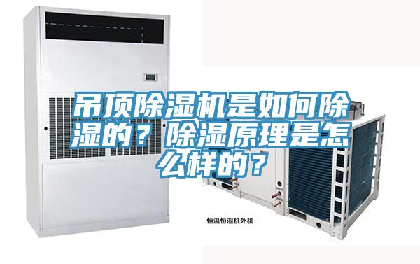吊頂91看片软件大全是如何除濕的？除濕原理是怎麽樣的？